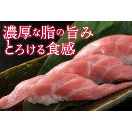 ふるさと納税 本マグロ　大トロ　1kg（柵どり） 福井県鯖江市