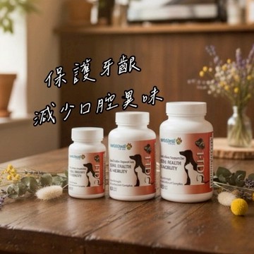 📦箱購 美國 一錠護1-TDC 口腔保健推薦 口炎快速恢復 30錠/60錠/120錠 原廠公司貨防偽雷標