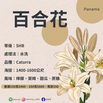 巴拿馬-百合花 (150克、250克)