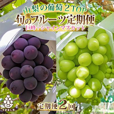 ふるさと納税 山梨市 山梨県産人気果物2種 種無し巨峰・シャインマスカット全2回