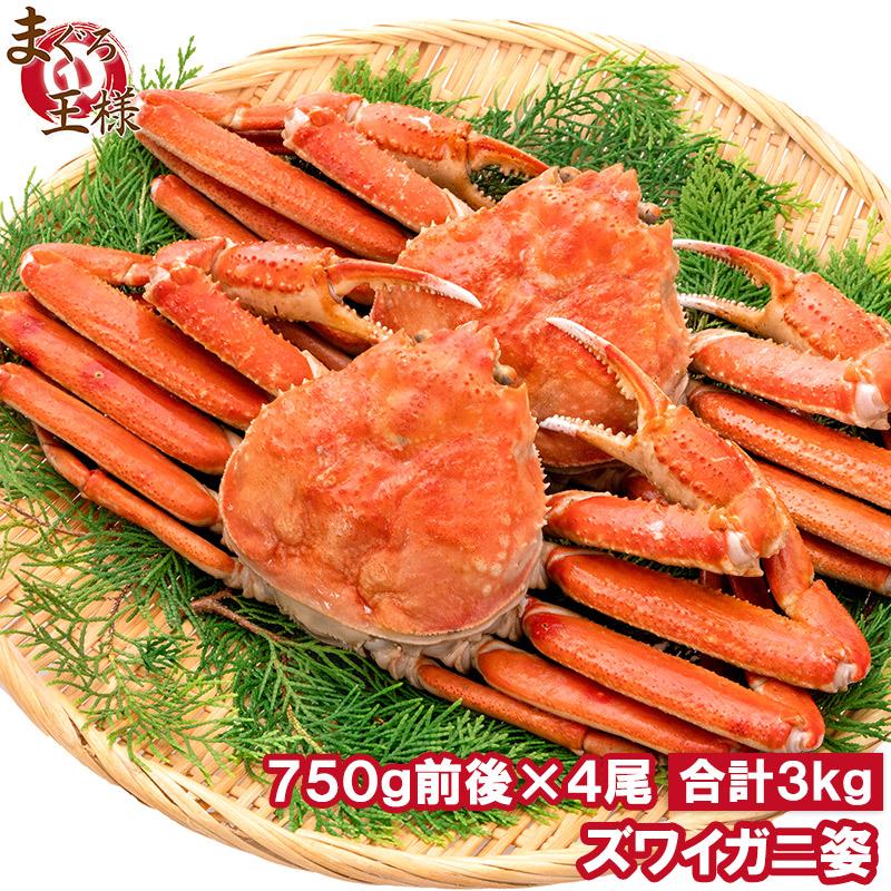 ズワイガニ 姿 3kg 750g前後×4尾 冷凍ゆでがに 本ズワイガニ 解凍するだけでＯＫ ボイル冷凍 ズワイ蟹 ずわいがに かに カニ 蟹 ずわい蟹 豊洲市場 かに鍋