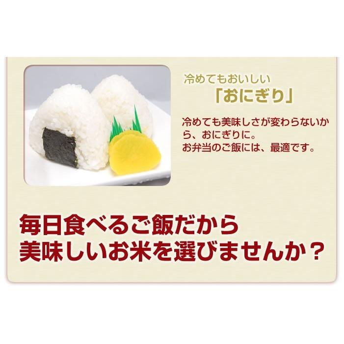 米 送料無料 森のくまさん 令和5年産 熊本県産 玄米30kg