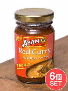 タイ レッドカレー ペースト Thai Red Curry Paste    料理の素 ココナッツ マレーシア BBQ 食品 エスニック アジ