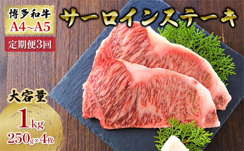 定期便 3ヶ月 牛肉 サーロイン ステーキ 合計1000g 博多和牛 A4～A5（250g×4枚）セット 3回 配送不可：離島