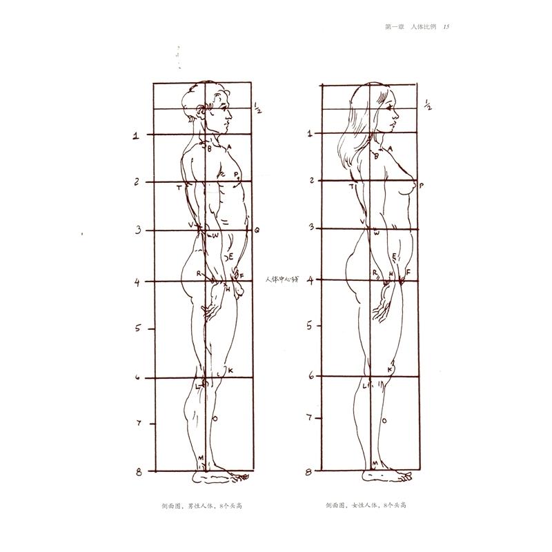 芸用人体解剖完全ガイド　Anatomy a complete guide　中国語版美術 #33402;用人体解剖完全指南 (手#32472;版)