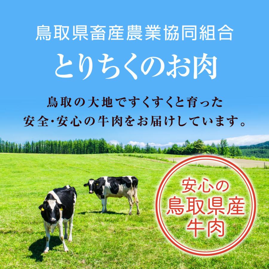 牛丼 豚丼 とり丼 丼の素 セット 9個入 牛肉 豚肉 鶏肉 鳥取牛 惣菜 国産牛 鳥取県産 ギフト 送料無料（北海道・沖縄を除く）