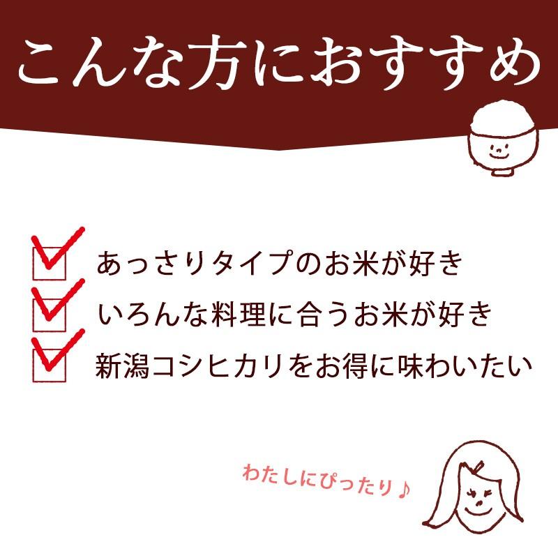 お米 米10kg 送料無料 新潟産コシヒカリ 竹人形 10kg(5kg×2)