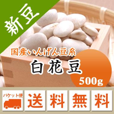 豆 白花豆 北海道産 令和５年産 メール便 送料無料 500g ※日時指定不可・代引不可・同梱不可商品