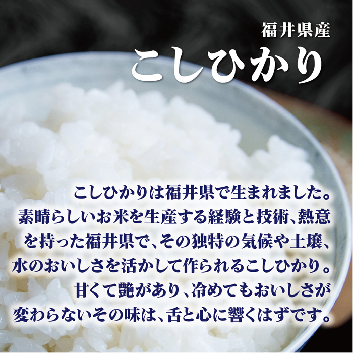 米 10kg 送料無料 白米 無洗米 こしひかり 5kg×2  令和三年産 福井県産 10キロ お米 玄米 ごはん単一原料米 保存食 米 真空パック 保存米 米