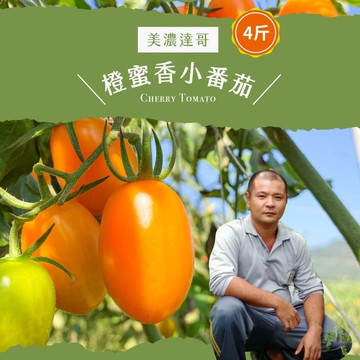 【初品果】美濃達哥橙蜜香小番茄4斤x4盒_1/10起陸續出貨