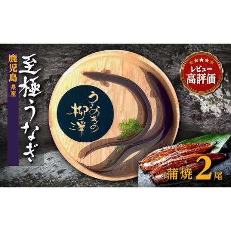 ふるさと納税 うなぎの柳澤　うなぎ蒲焼2尾（計340g） 鹿児島県大崎町