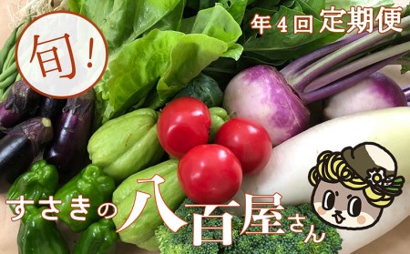 定期便 野菜 7～8品目 4回 南国土佐の新鮮お野菜 詰め合わせ お楽しみ セット 詰め合わせ 季節 新鮮 産地直送 高知県 須崎市