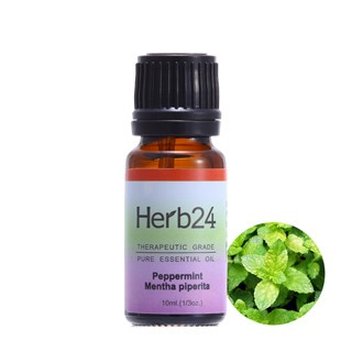 Herb24 歐薄荷 純質精油 10ml