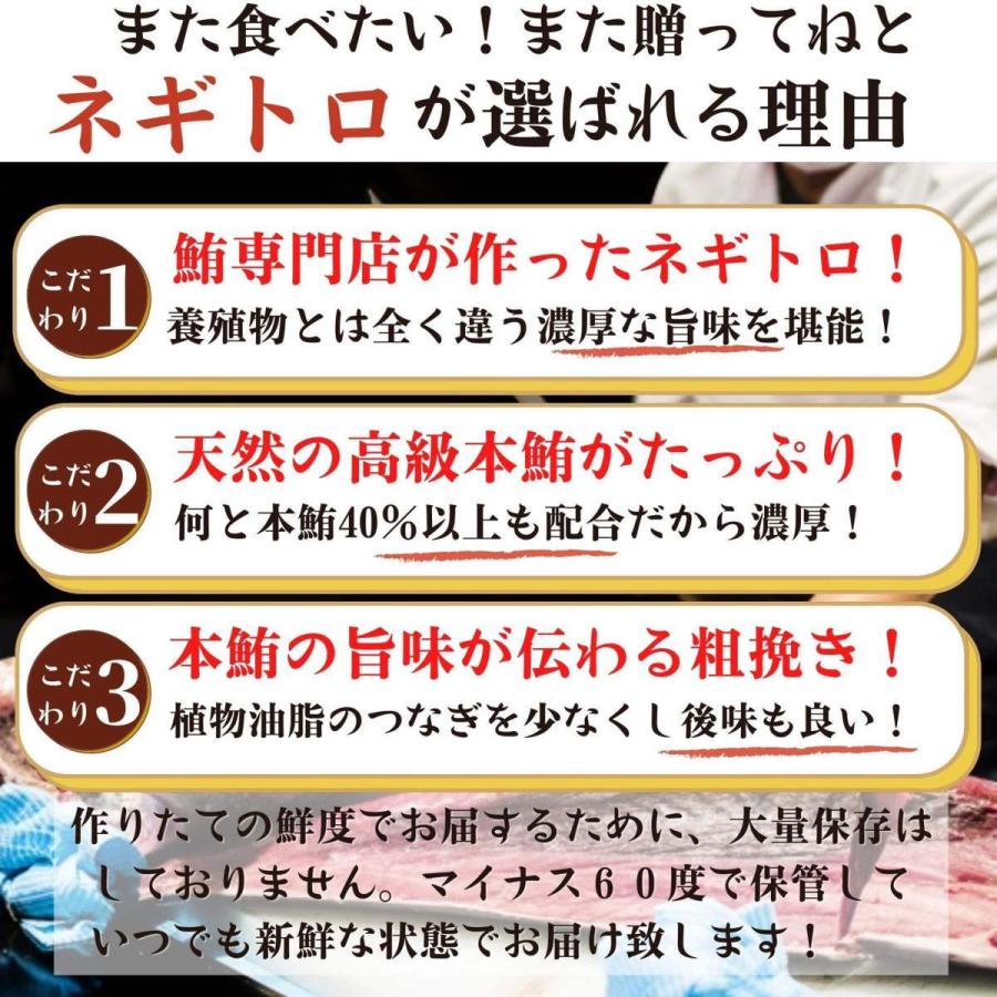 本マグロがたっぷり入ったネギトロ 天然鮪 同梱用 小分け 2パック 海鮮