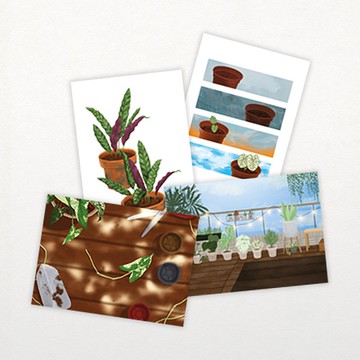 觀葉植物│插畫明信片套組│一組四入