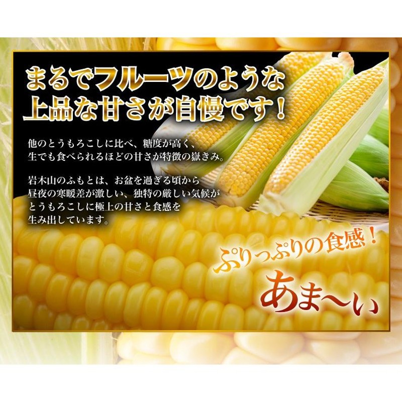 嶽きみ 青森県嶽産 とうもろこし 朝採り 2Lサイズ 10本