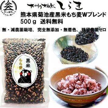 熊本産菊池産黒米もち麦Ｗブレンド500g　無・減農薬栽培、完全無添加　無着色、残留農薬ゼロ　古代米　もち麦　雑穀米　熊本県産　国産