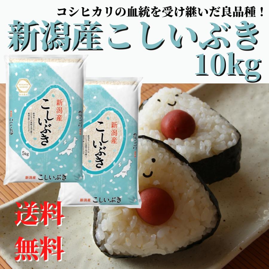 新米 令和５年産 お米 安い 10kg (5kg×2) 送料無料 新潟産 こしいぶき 精米