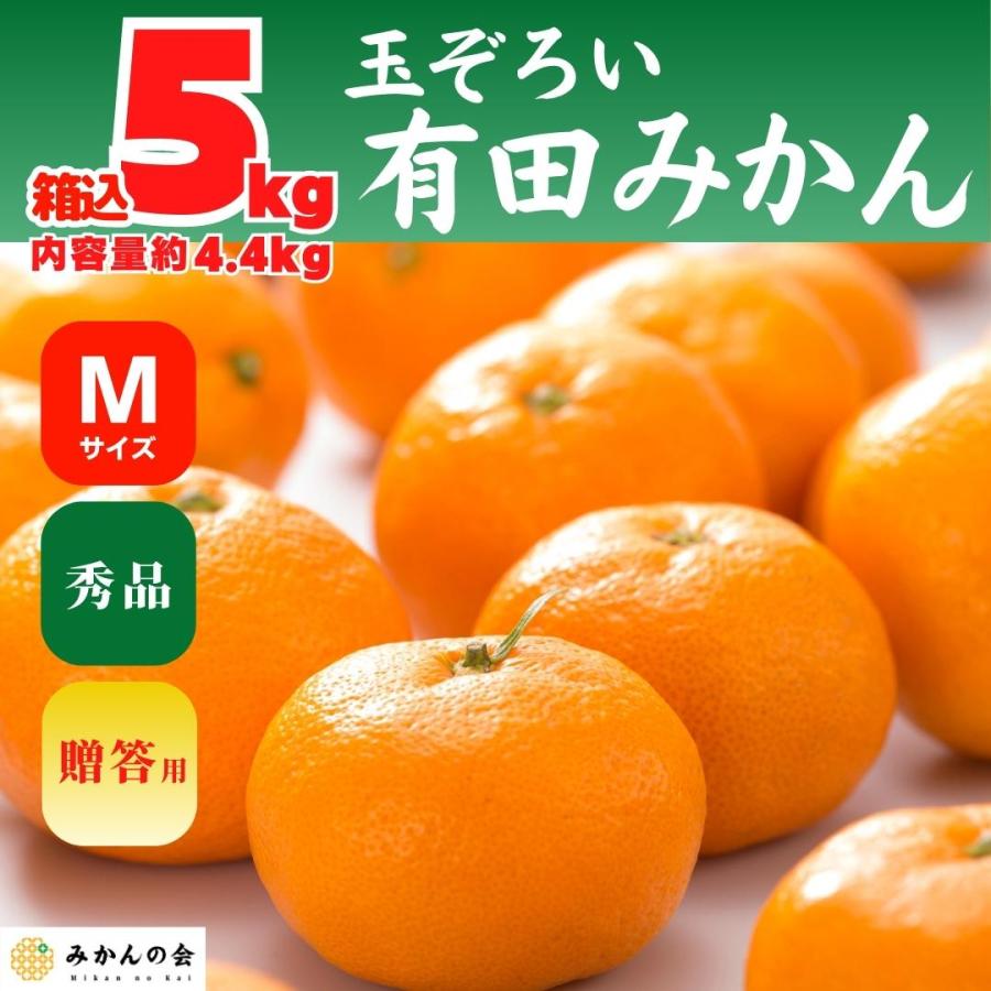 みかん 箱込 5kg 内容量 4.4kg Mサイズ 秀品 有田みかん 和歌山県産 産地直送 贈答用 