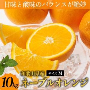 ネーブルオレンジ 10kg Mサイズ 甘味と酸味のバランスが絶妙 和歌山 みかん 蜜柑 新鮮 ビタミン 果物