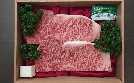 （国産 ステーキ 和牛 ステーキ 牛肉 丹波牛 ステーキ  A5 ステーキ サーロイン ステーキ 牛 ステーキ ステーキスパイス  サシ ステーキ 冷凍 京都 ステーキ 丹波高原 ステーキ 京丹波町 ステーキ いづつ屋 ステーキ）