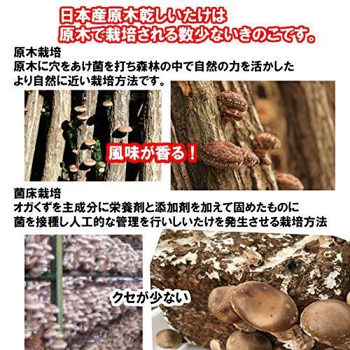 大分県産 原木栽培 無農薬 無選別 乾しいたけ 200g×2袋セット