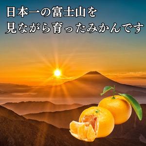 ふるさと納税 寿太郎 みかん 約 10kg 産地直送 柑橘 西浦 沼津 蜜柑　訳あり（寿太郎みかん 西浦 みかん 蜜柑 果物 みかん フルーツ みかん 柑橘.. 静岡県沼津市