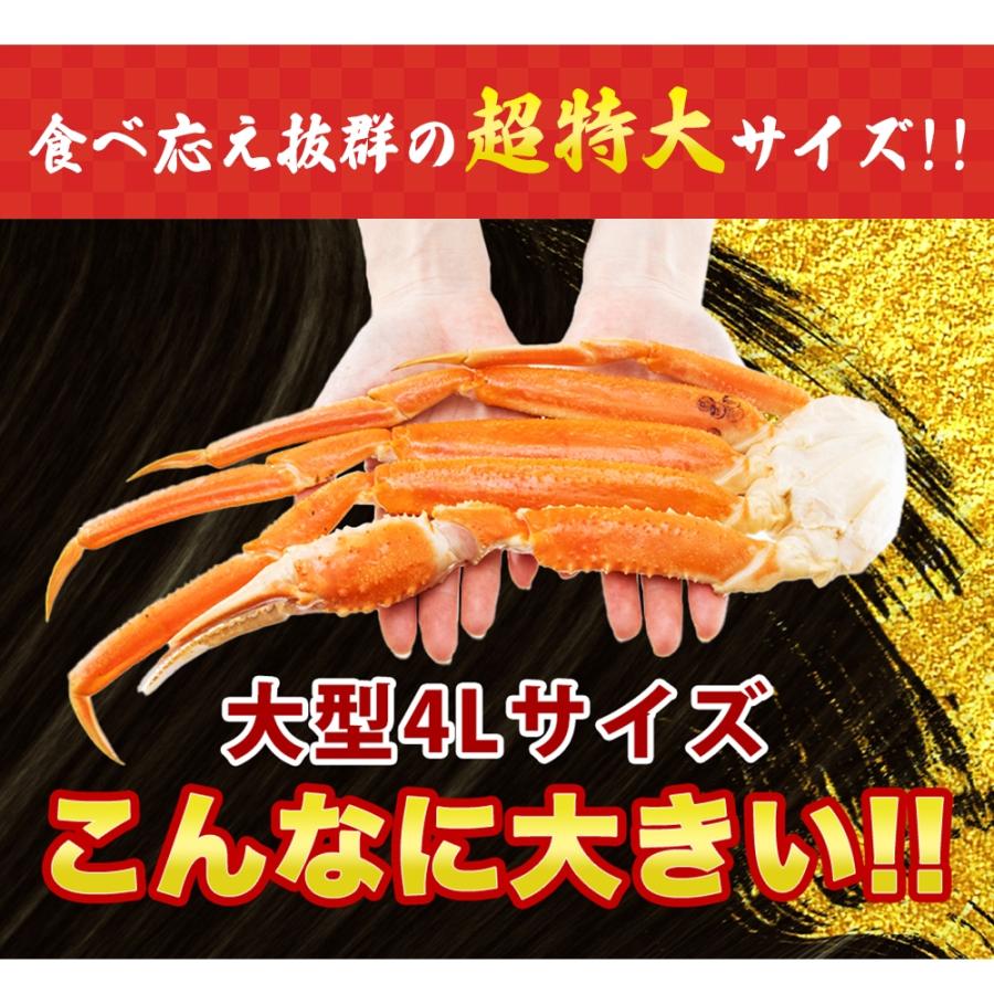 生食可 化粧箱 冷凍ボイルずわいがに 2kg入(5〜7肩) ズワイガニ ずわいがに ズワイ蟹 ずわい蟹 蟹 かに カニ 海鮮 鍋 しゃぶしゃぶ 刺身 お歳暮 年末年始