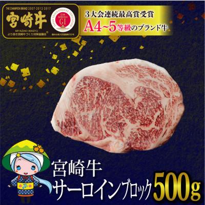 ふるさと納税 美郷町 宮崎牛サーロインブロック約500g