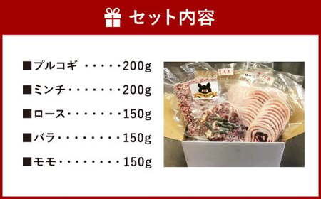 13-25 猪肉 5点 セット 合計850g ジビエ 冷凍 鳥栖