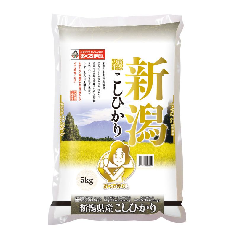 精米新潟県産 白米 こしひかり 5kg 令和4年産