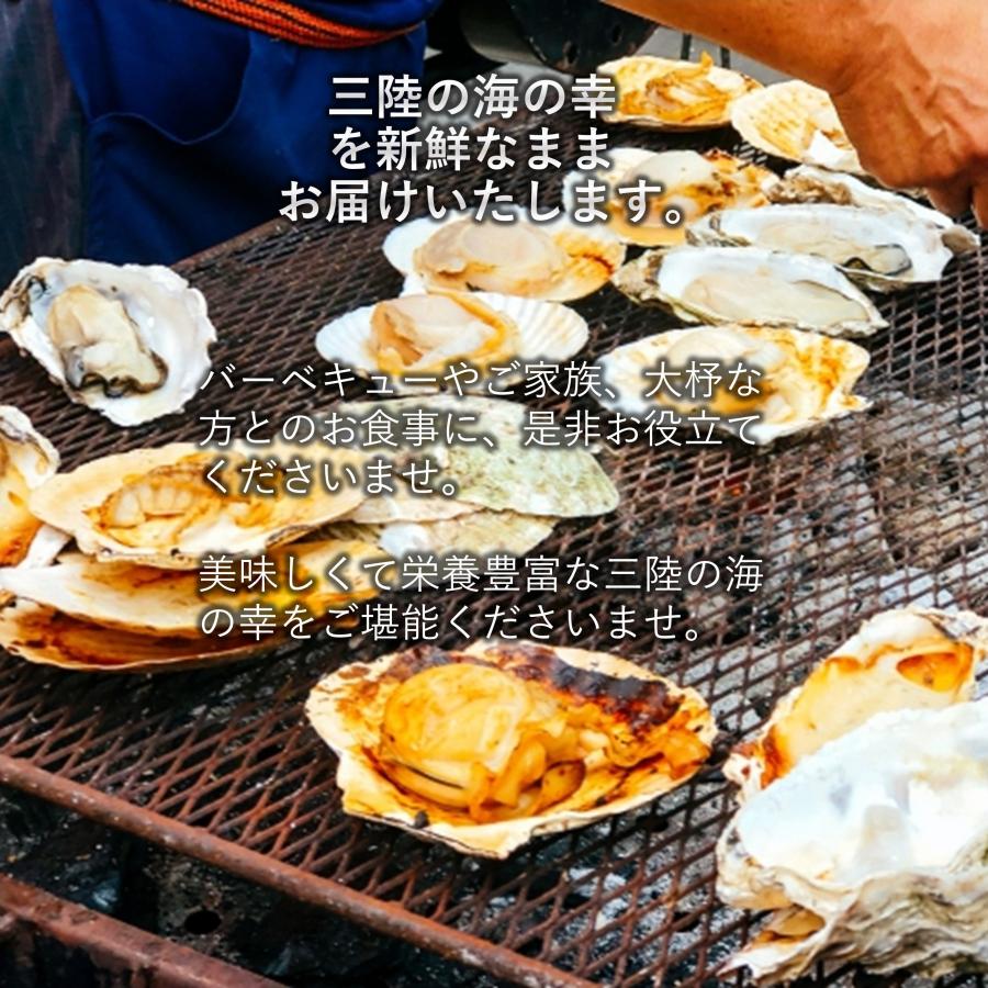 三陸産 ホタテ＆牡蠣セット 殻付きホタテ10枚 殻付き牡蠣2kg 加熱用 焼く 蒸す 揚げる 等様々なお料理に BBQにも最適 濃厚な旨味 亜鉛 タウリン等栄養豊富