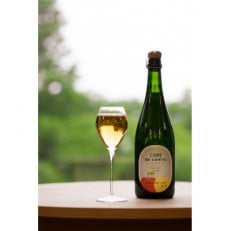 シードル　ド　カミーナ(長野県上伊那産りんごのスパークリングワイン)辛口750ml×1本
