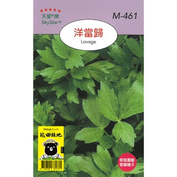 花田綠地種子 洋當歸