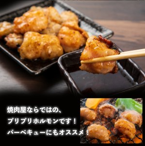 山樹の国産牛とろホルモン焼き（味付 タレ）　600g [047R17]