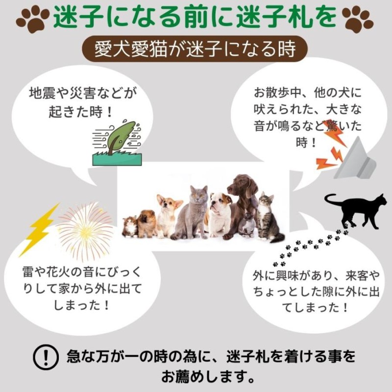 わんちゃん ねこちゃん迷子札 (震災などに) - 犬用品