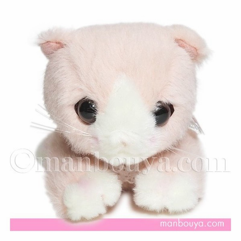猫 ぬいぐるみ ネコ グッズ たけのこ Takenoko Joyful Mates ジョイフルメイト シャトン ローズ ピンク 16cm 通販 Lineポイント最大get Lineショッピング