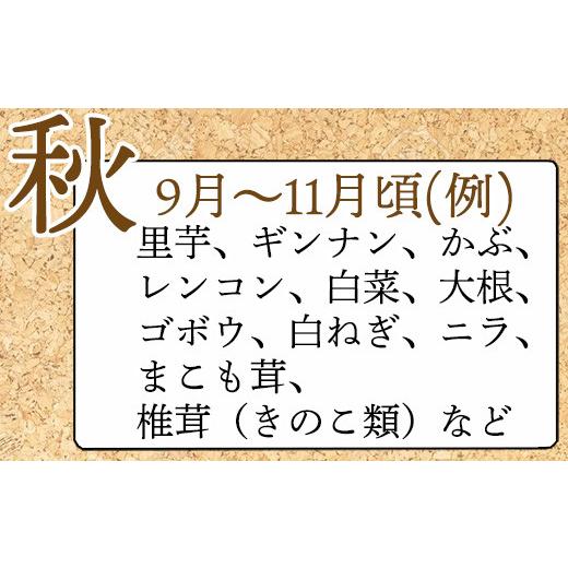 ふるさと納税 佐賀県 唐津市 野菜セット 新鮮とれたて旬の野菜 季節の野菜 詰合せ サラダ「2023年 令和5年」