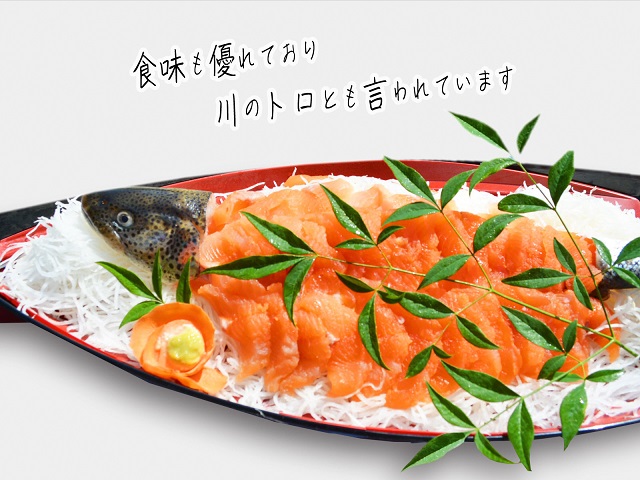 鮮魚でお届け！幻の魚「イトウ」1尾(約1kg)※配送地域限定