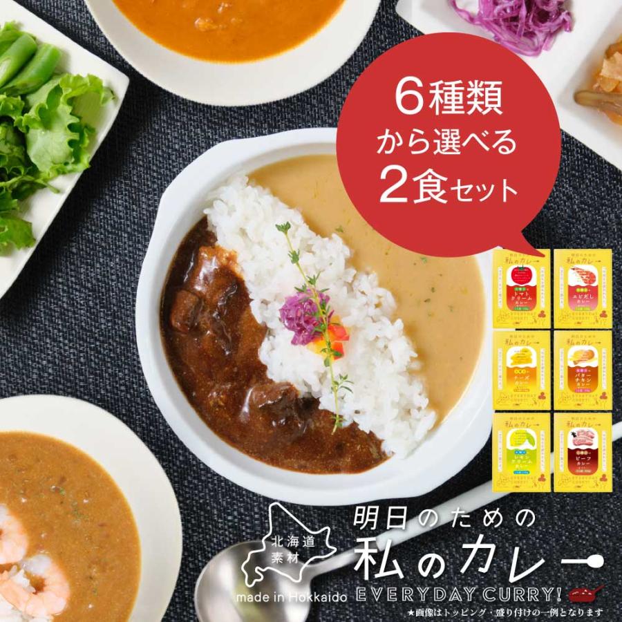 丸市岡田商店 明日のための私のカレー 100g 選べる2種セット メール便 送料無料 レトルトカレー ご当地 北海道産 お歳暮 御歳暮 クリスマス