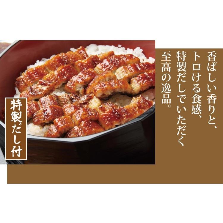 うなぎ 蒲焼き 国産 真空パック 浜名湖 うな茶漬け 4人前 送料無料