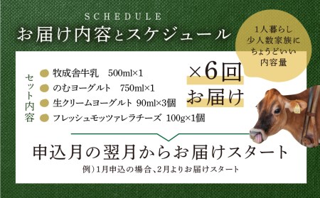 乳製品 定期便 6回＜牧成舎＞牛乳 ヨーグルト チーズ よりどりミニセット 4種 飛騨産生乳で作ったこだわりの乳製品セット 単身用 一人暮らし 2人暮らし ギフト まとめ買い [Q1941]