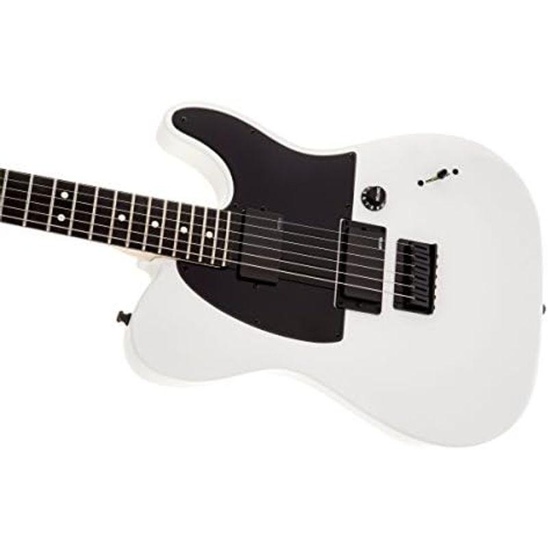 エレキギター Fender JIM ROOT STRATOCASTER?