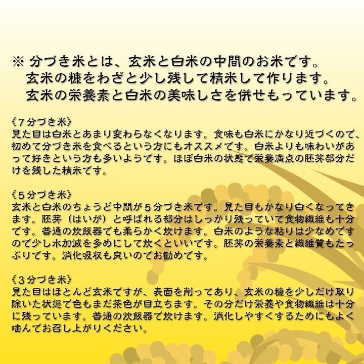 新米！ 低農薬 コシヒカリ １０kg　『令和５年産』　埼玉県越谷市産　ご注文を受けてから精米いたします！