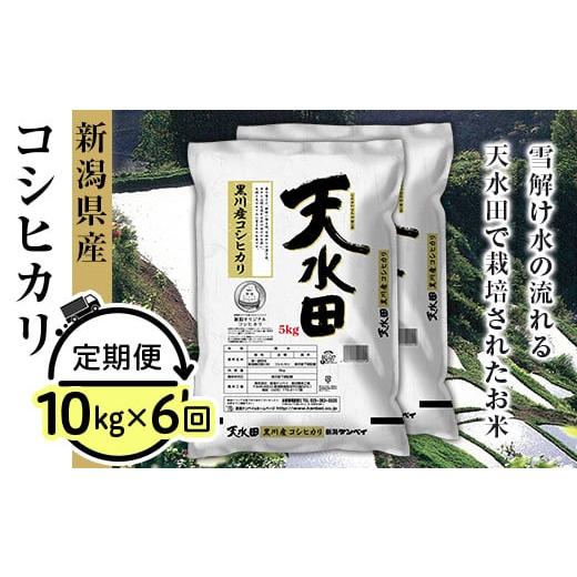 ふるさと納税 新潟県 胎内市 27-106A新潟県黒川産コシヒカリ10kg（5kg×2袋）