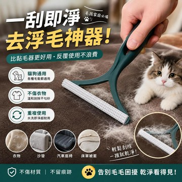 【24時出貨】寵物毛髮清理器 貓毛狗毛除毛器 沙發刮毛器 地毯除毛刷 衣物毛髮清潔神器 可重複使用清潔刷
