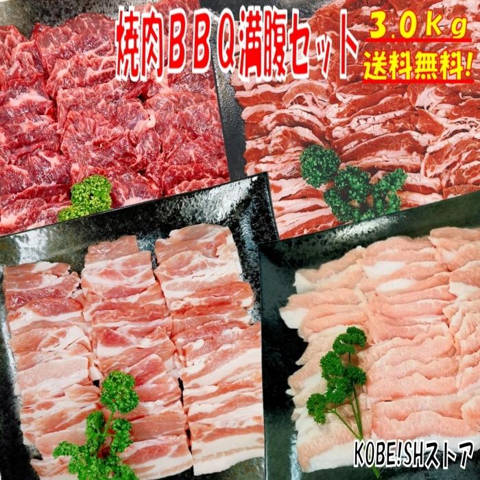 肉 バーベキュー 食材 牛肉 焼肉セット BBQ 肉 ハラミ カルビ バラ 豚トロ バーベキュー 肉 BBQ食材セット BBQ 食材 焼肉 豚肉 牛丼 3kg 8〜12人前