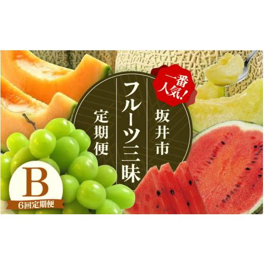 ふるさと納税 福井県 坂井市  坂井市フルーツ三昧！！定期便B【定期便 くだもの 果物…