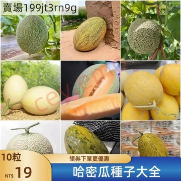 現貨🍈【哈密瓜種子大全】（100粒）四季種植 🍈2025新種 12款哈密瓜種子 四季農家田園庭院種植 高產 易種