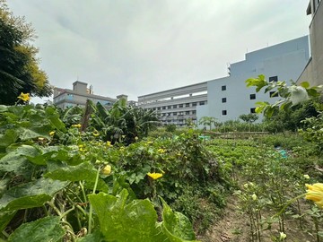 竹北大地坪乙種工業用地｜新竹縣竹北市東華段